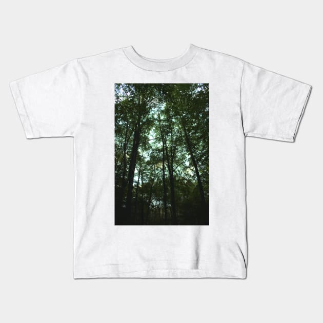 Moody Forest Kids T-Shirt by annaprendergast